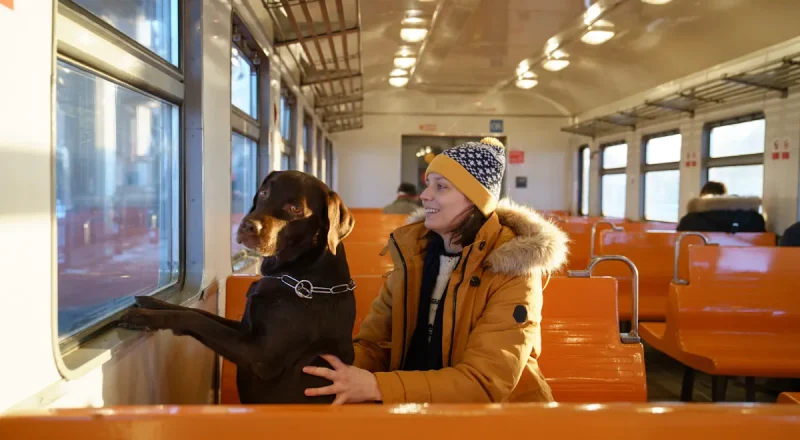 Une femme avec un chien dans un train