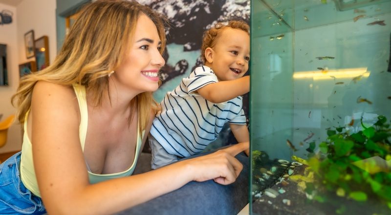 femme et enfant qui regardent un aquarium
